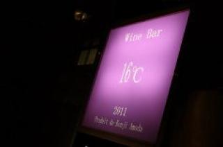 Wine Bar 16℃