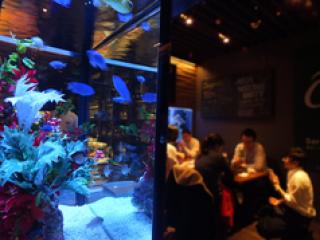 アクアリウム ダイニング デイズ 写真